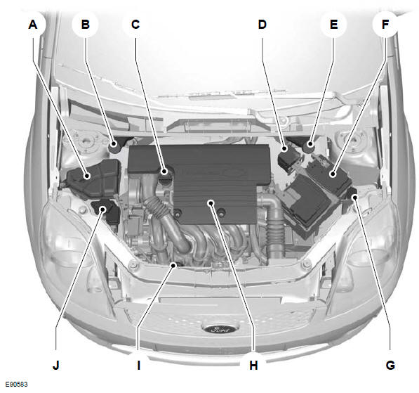 Widok ogólny obszaru pod pokrywą komory silnika - 1,25 l Duratec-16V (Sigma) /1,4 l Duratec-16V (Sigma) /1,6 l Duratec-16V (Sigma)