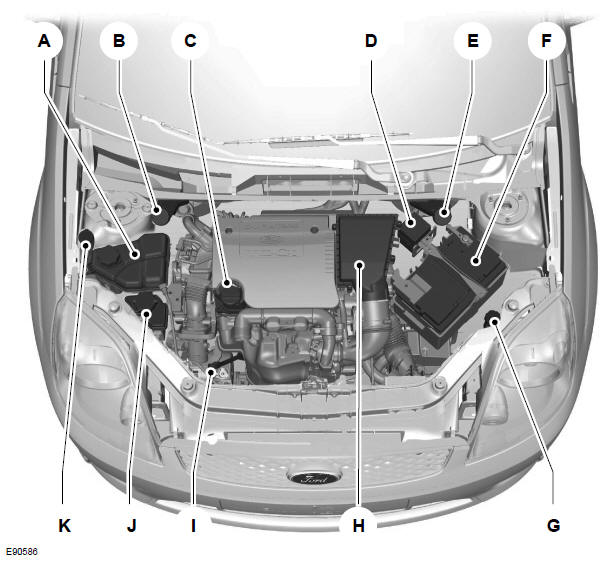 Widok ogólny obszaru pod pokrywą komory silnika - 1,6 l Duratorq-TDCi (DV) Diesel 